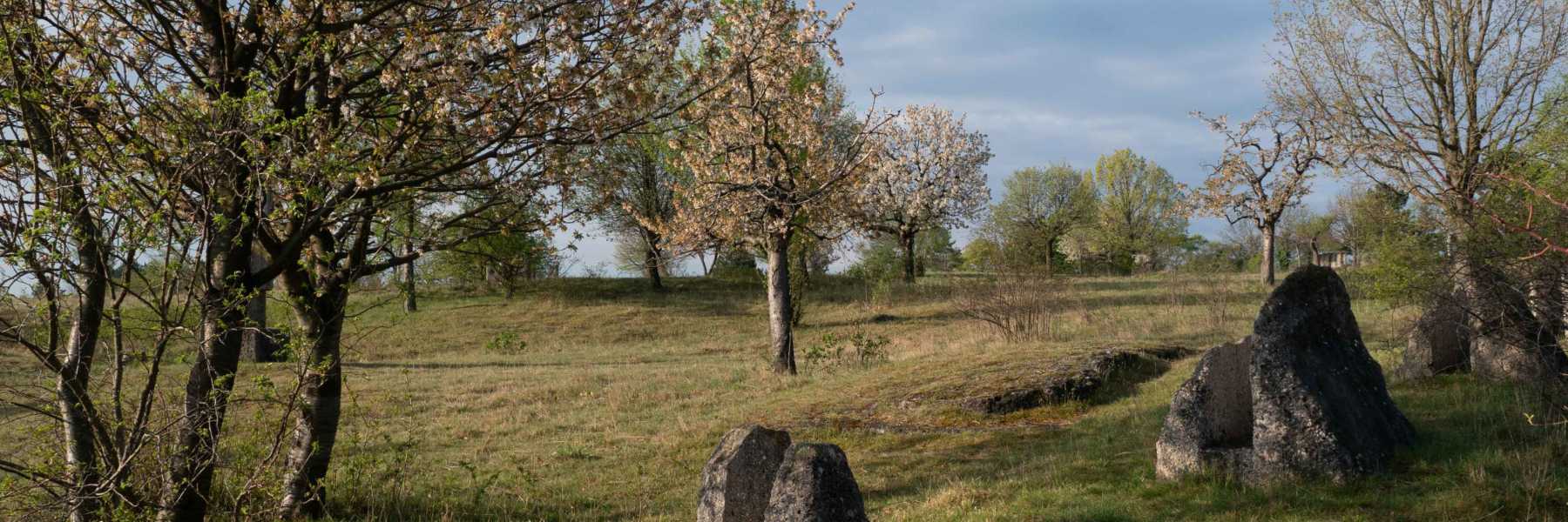 frühlingsgrat_arnoldhaberl